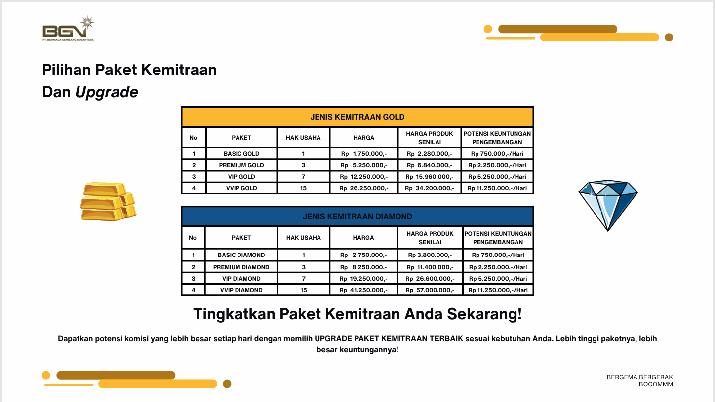 peluang bisnis bgn corporation